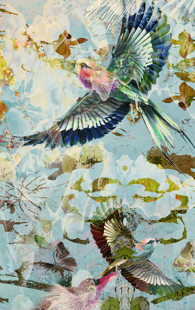Collage of birds with a colorful and abstract background