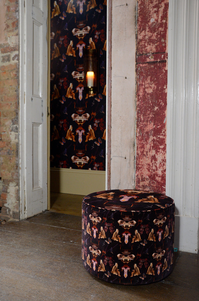 Grand Reader wallpaper as a stamens wall behind an upholstered velvet reader footstool. 